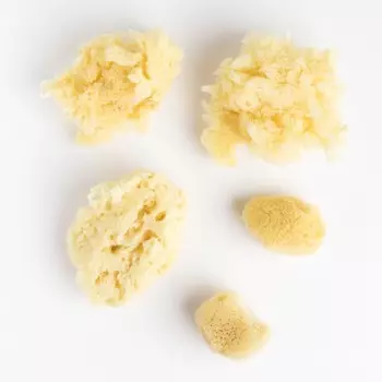 Малевичъ Набор спонжей для краски