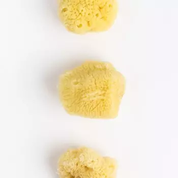 Малевичъ Спонжи для красок мелкозернистые 6х4 см 3 шт.