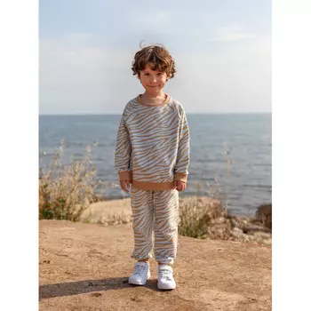 Mjolk Джоггеры Зебра