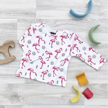 Mjolk Футболка с длинным рукавом Фламинго