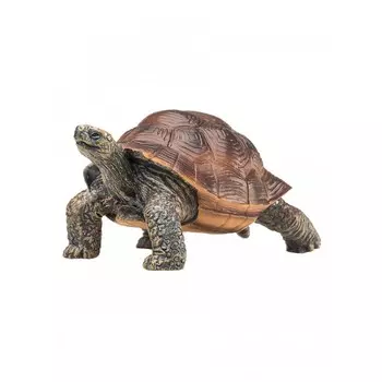 Mojo Animal Planet Гигантская черепаха L