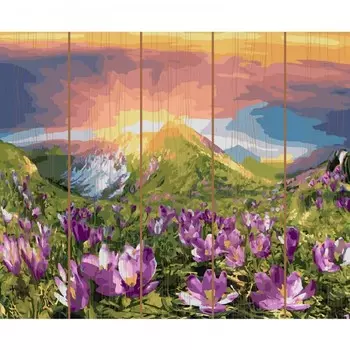 Molly Картина по номерам на дереве Восход 40х50 см