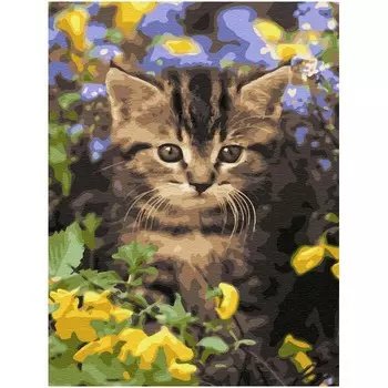 Molly Картина по номерам с цветной схемой на холсте Новые ароматы 40х30 см