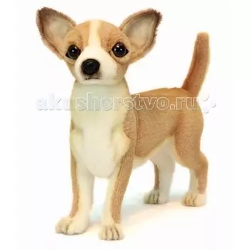 Мягкая игрушка Hansa Чихуахуа 27 см