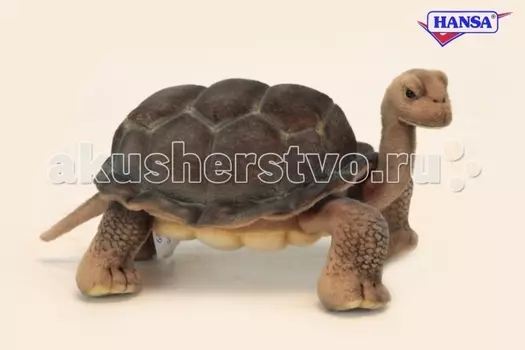 Мягкая игрушка Hansa Галапагосская черепаха 30 см