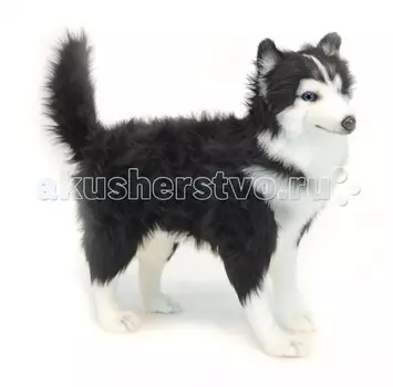 Мягкая игрушка Hansa Хаски 56 см