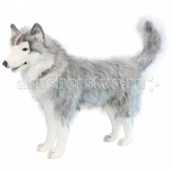 Мягкая игрушка Hansa Хаски 75 см