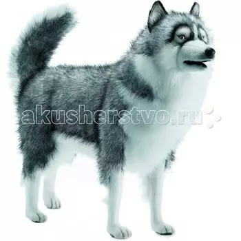 Мягкая игрушка Hansa Хаски 94 см