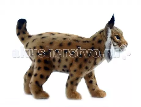 Мягкая игрушка Hansa Испанская рысь 35 см