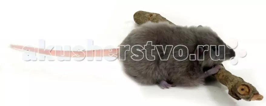 Мягкая игрушка Hansa Крыса 12 см