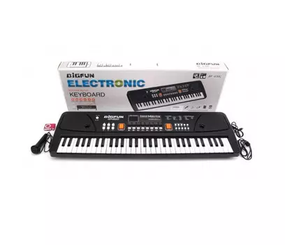 Музыкальный инструмент Russia Электроорган с микрофоном и плеером BF-630C