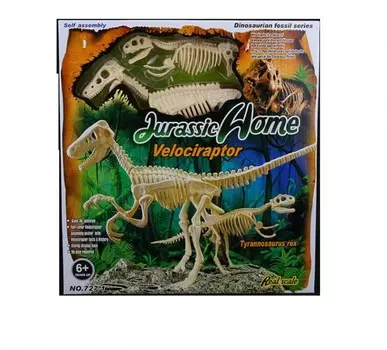 Ningbo Union Vision Набор для сборки скелета Тираннозавра и Велоцираптора 20х50х8 см