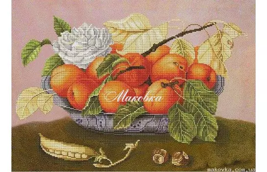 Нова Слобода Набор для вышивания СР №21 3276 Абрикосовая фиерия 28.3х40.3 см