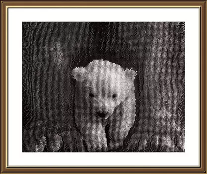 Нова Слобода Набор для вышивания СВ №14 4504 Сам ты белая ворона 20.8х26.6 см