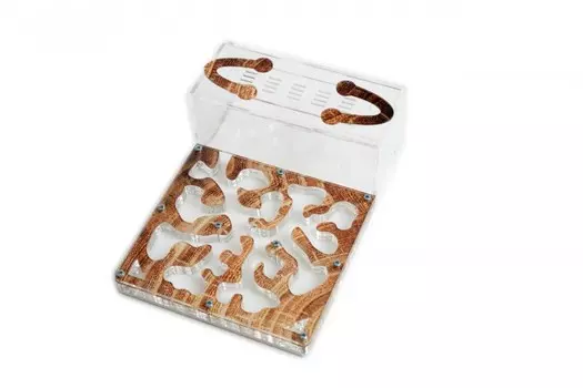 Нумикон Муравьиная ферма Мини однослойная Wood