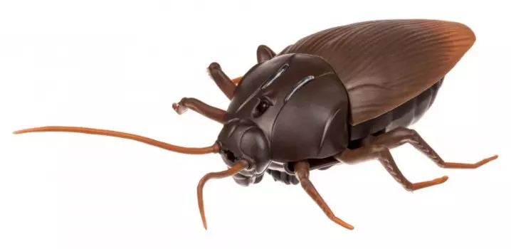 Ocie Робо-таракан OTC0872690