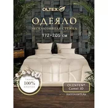 Одеяло OL-Tex верблюжья шерсть классическое 205х172 ОВТ-18-4