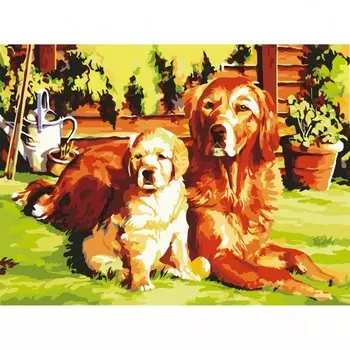 Остров Сокровищ Картина по номерам Лабрадоры 40х50 см