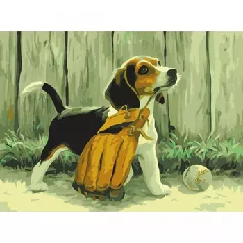 Остров Сокровищ Картина по номерам Щенок бигля 40х50 см