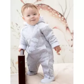 Папитто Комбинезон утепленный с капюшоном 37-529