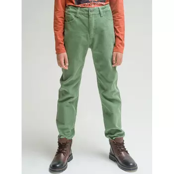 Pelican Брюки для мальчиков BWP4296