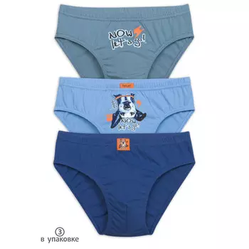 Pelican Трусы для мальчиков 3 шт. BULB3272/BULB4272
