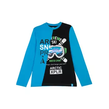Playtoday Фуфайка трикотажная для мальчика Arctic tween boys 32211527