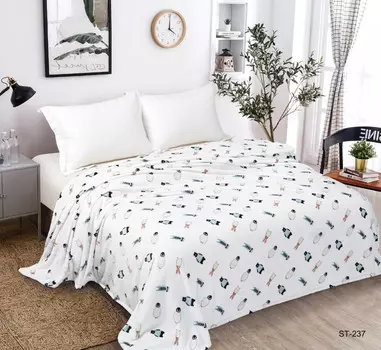 Плед Dream Time велсофт 1.5 спальный 200х150 BL0469-1