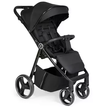 Прогулочная коляска Agex Maxi