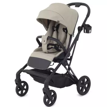 Прогулочная коляска Rant Ace