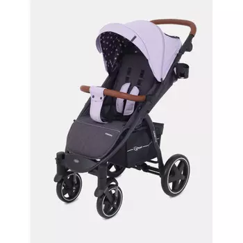 Прогулочная коляска Rant basic Alpine RA450
