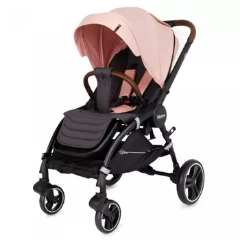 Прогулочная коляска Rant Bloom star