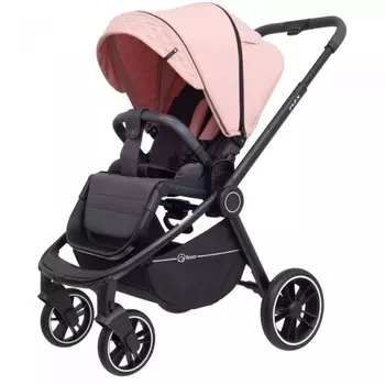 Прогулочная коляска Rant Flex 2021