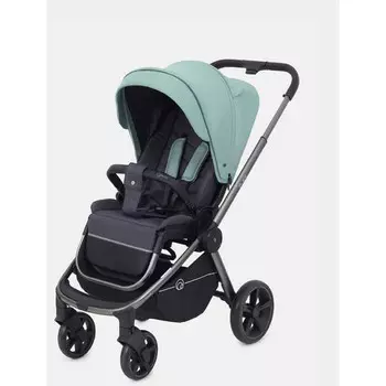 Прогулочная коляска Rant Flex Pro RA099