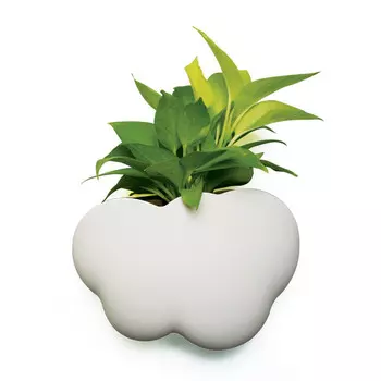 Qualy Кашпо Cloud