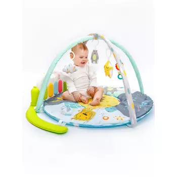 Развивающий коврик AmaroBaby Splendid Lion 95x95x45 см