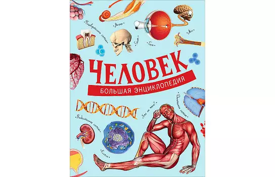 Росмэн Человек Большая энциклопедия