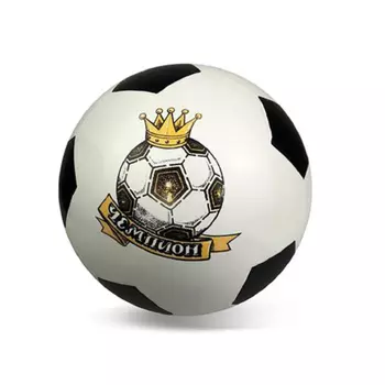 Русский стиль Мяч Чемпион 200 мм