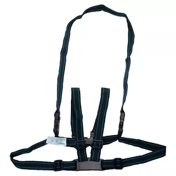 Safety 1st Уздечка-держатель для вождения ребенка