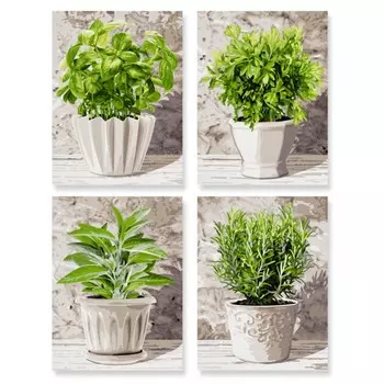 Schipper Картина по номерам 4 шт. Кулинарные травы в горшках 18х24 см