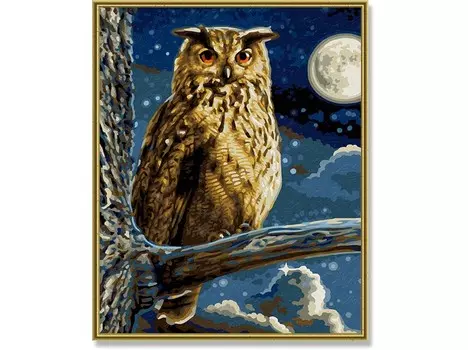 Schipper Картина по номерам Филин 24х30 см