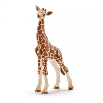 Schleich Фигурка Детеныш жирафа