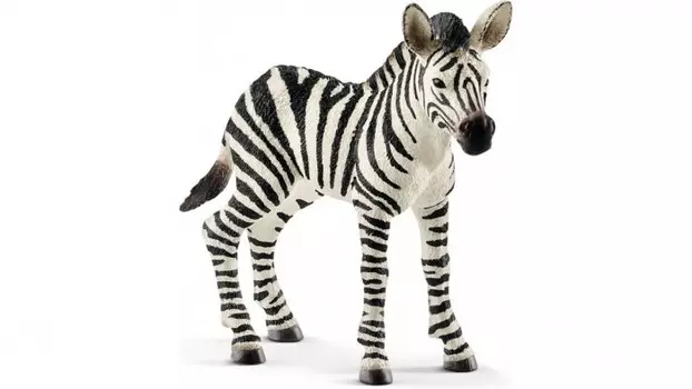 Schleich Игровая фигурка Жеребенок зебры