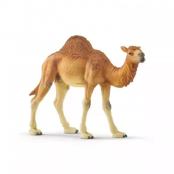 Schleich Одногорбый верблюд