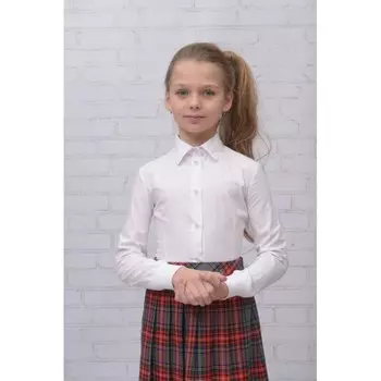 Sky lake Блуза Влада ШФ-1497