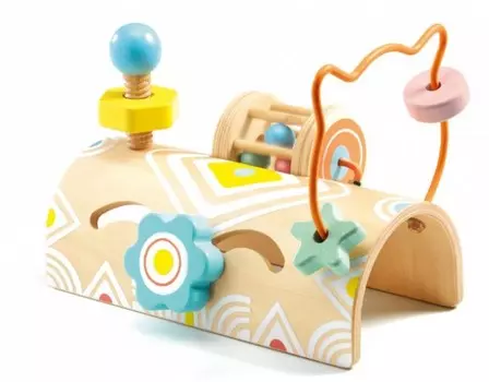 Сортер Djeco 06120