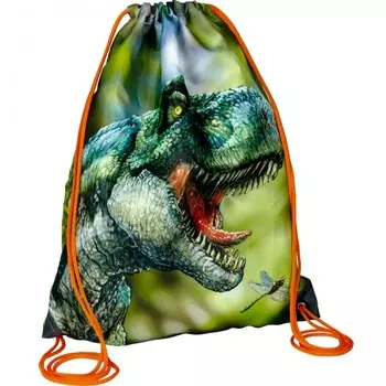 Spiegelburg Мешок для обуви T-Rex 14538