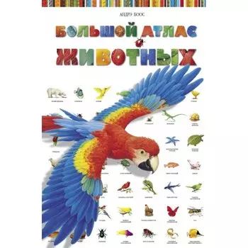 Стрекоза Большой Атлас животных