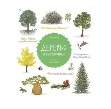 Стрекоза Деревья и кустарники