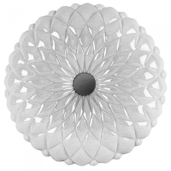 Светильник Camelion Настенно-потолочный LBS-1005